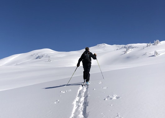 Ski Touring Guide (from 15 y.) for All Levels