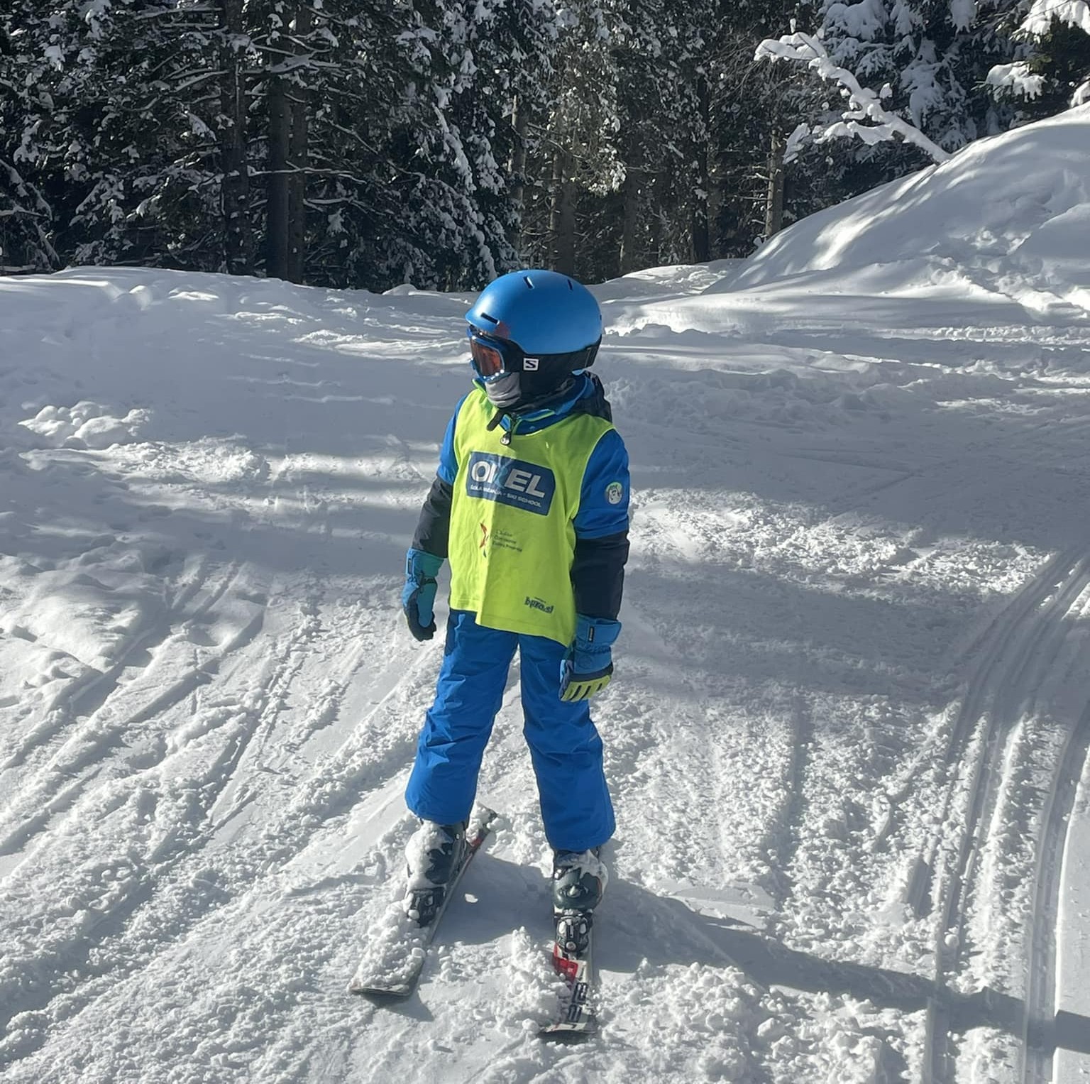 Clases particulares de esquí para niños para todos los niveles con Ski School OREL Kranjska Gora.