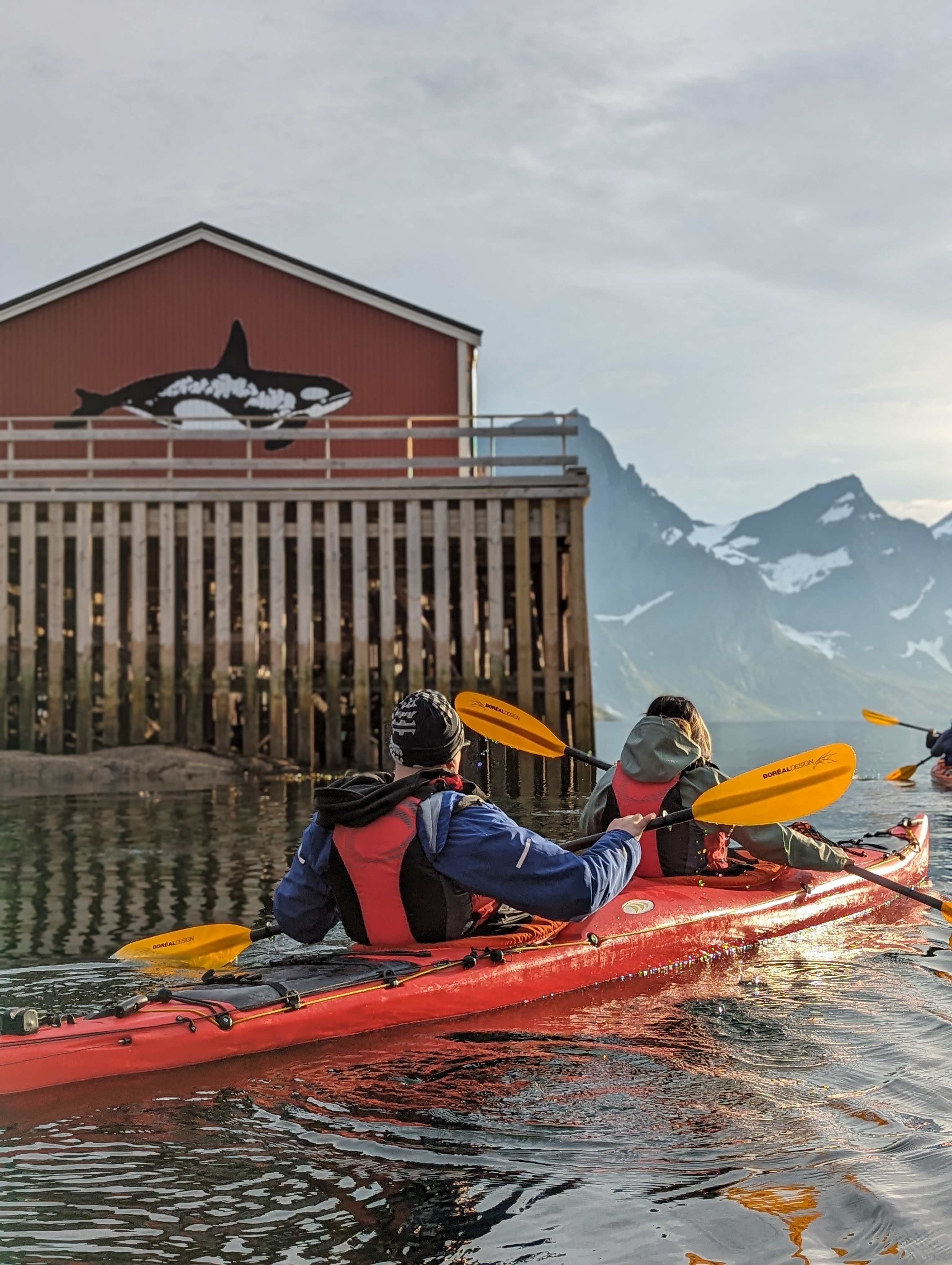 Leichte Kayak & Kanu-Tour - Trollfjord.