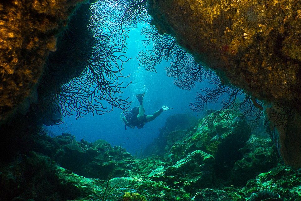 Immersioni guidate a Sainte-Luce per subacquei certificati con Kawan Plongée Martinique.