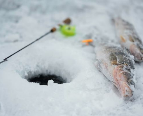 Half Day Snowshoeing Tour from Rovaniemi with Ice Fishing & Snacks from Wild Wonder Rovaniemi.
