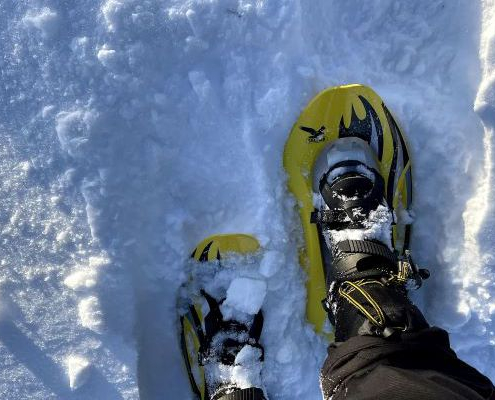 Half Day Snowshoeing Tour from Rovaniemi with Ice Fishing & Snacks from Wild Wonder Rovaniemi.