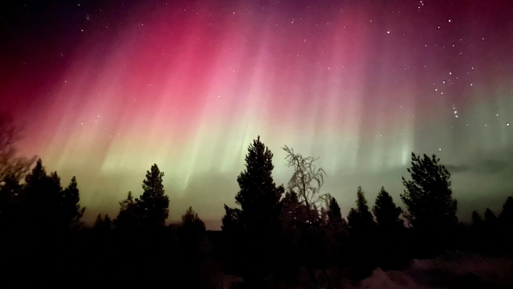 Tour in minivan da Ivalo alla ricerca dell'Aurora Boreale con snack e bevande.