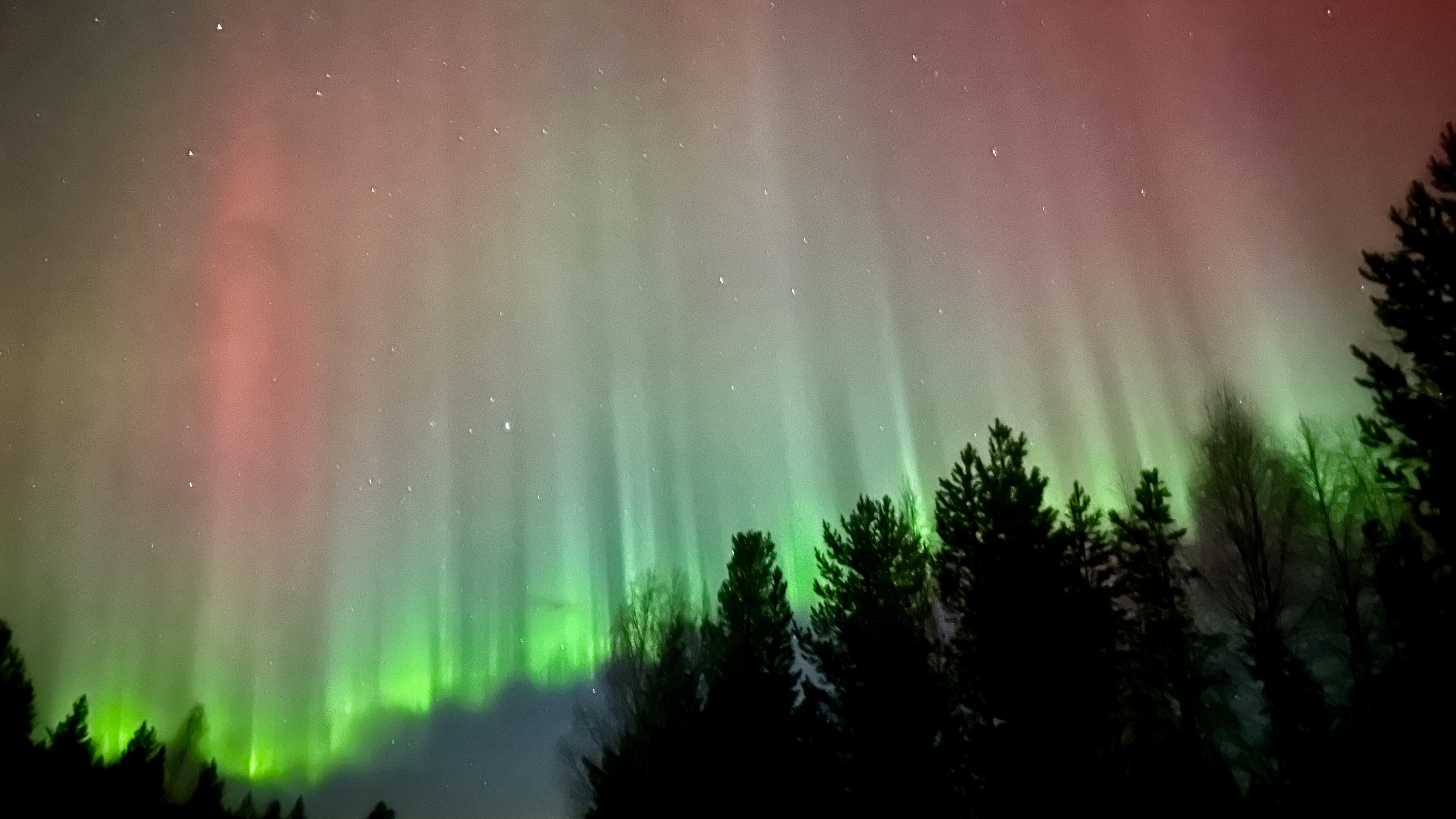 Sledding Tour from Ivalo with Northern Lights & Warm Beverages from Arctic Guides Ivalo.