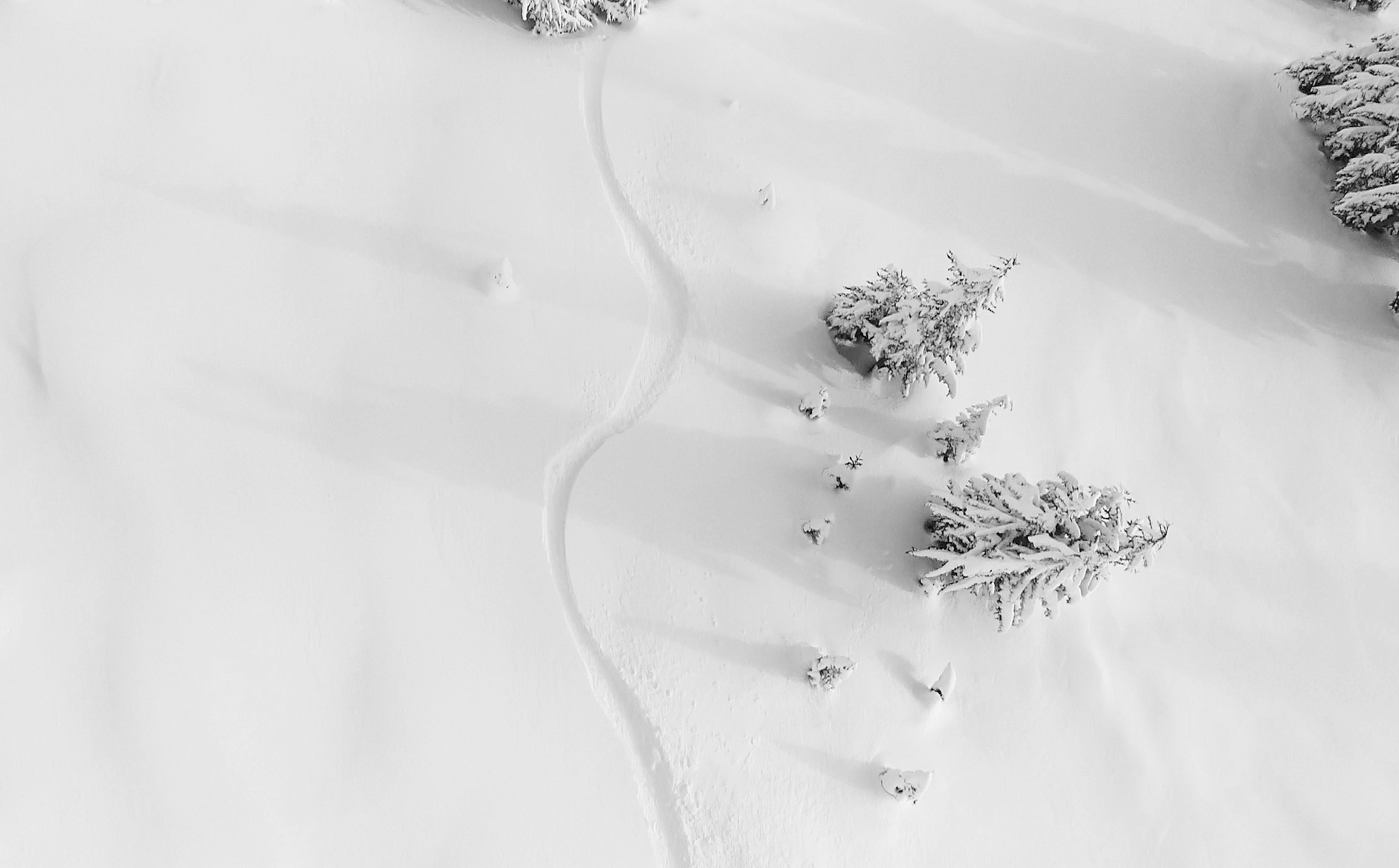 Cours de ski privés pour enfants (3-13 ans) pour tous niveaux - Limone.