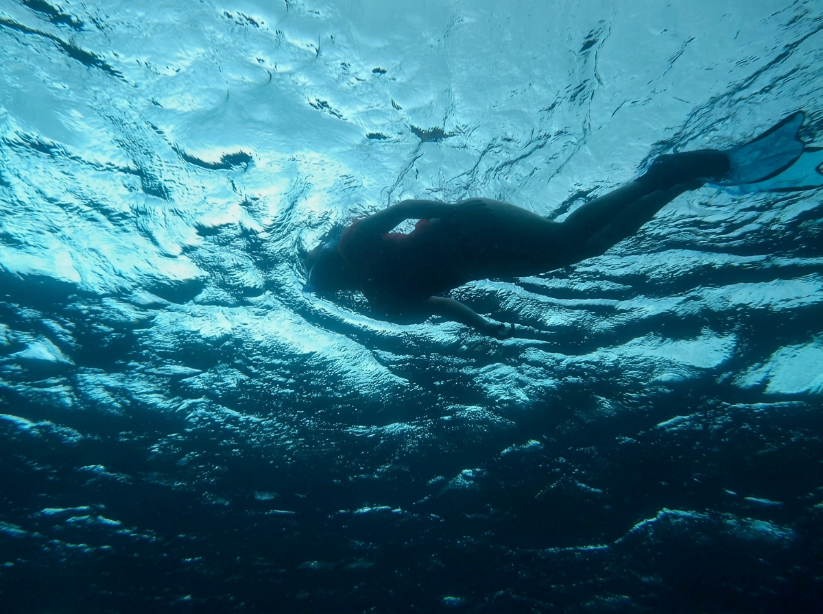 A snorkeler swims near the surface of clear turquoise water during a sailing boat trip to Les Saintes with snorkeling & lunch offered by Reve de Nav' Croisière.