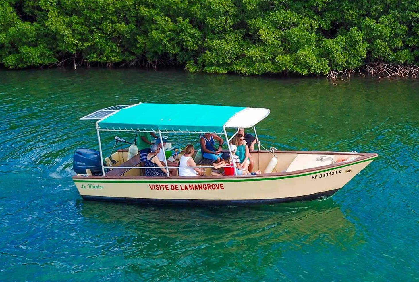 Gita privata in barca a Mangrovie della baia di Génipa con osservazione della fauna selvatica con Mangrov'Eco Le Mantou Martinique.