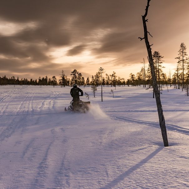 Giro privato in motoslitta a Ivalo, Inari e Saariselka con Northern Lights Riders Ivalo.