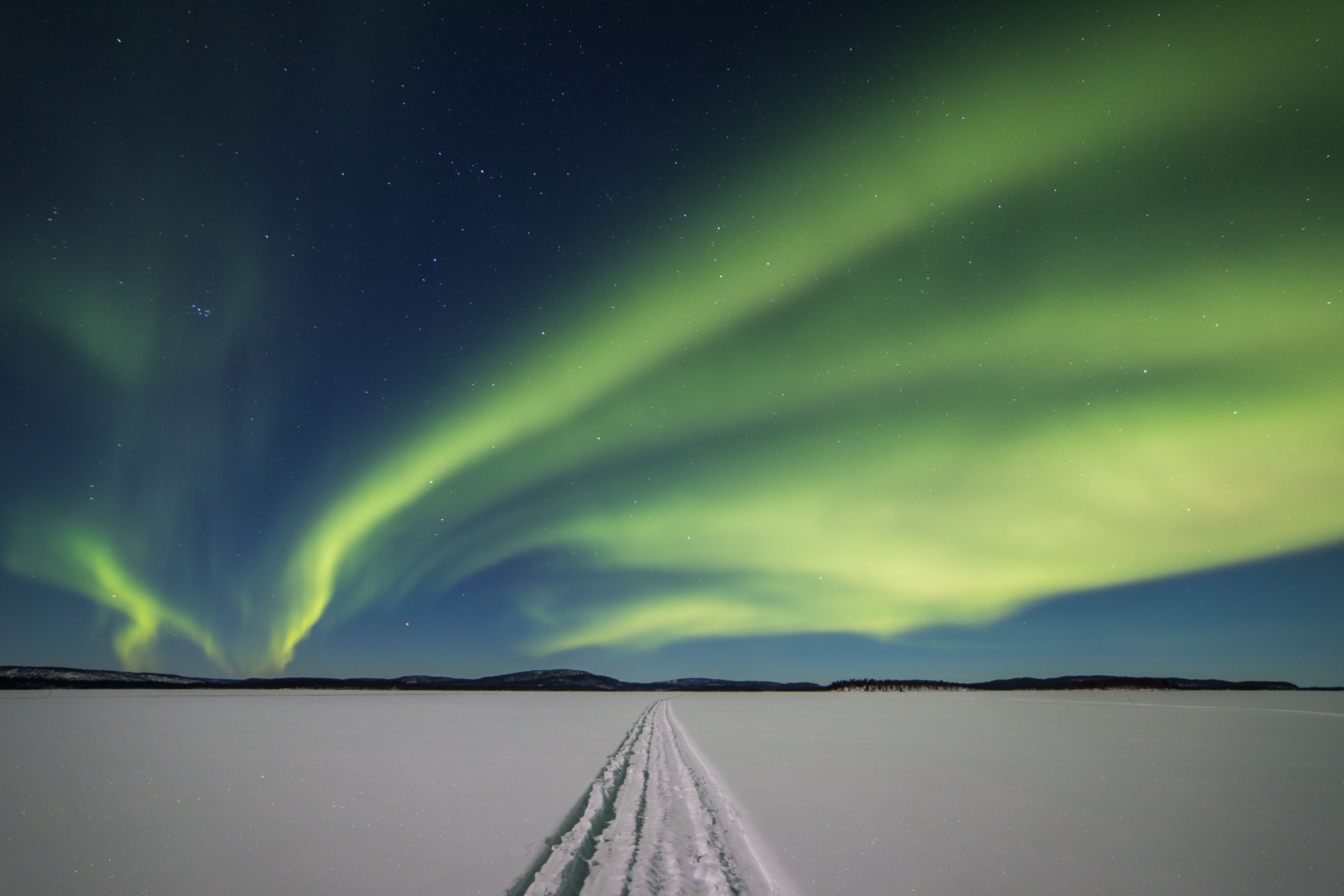 Northern Lights Bus Tour from Ivalo with Snowmobile Sledding, Dinner & Reindeers.