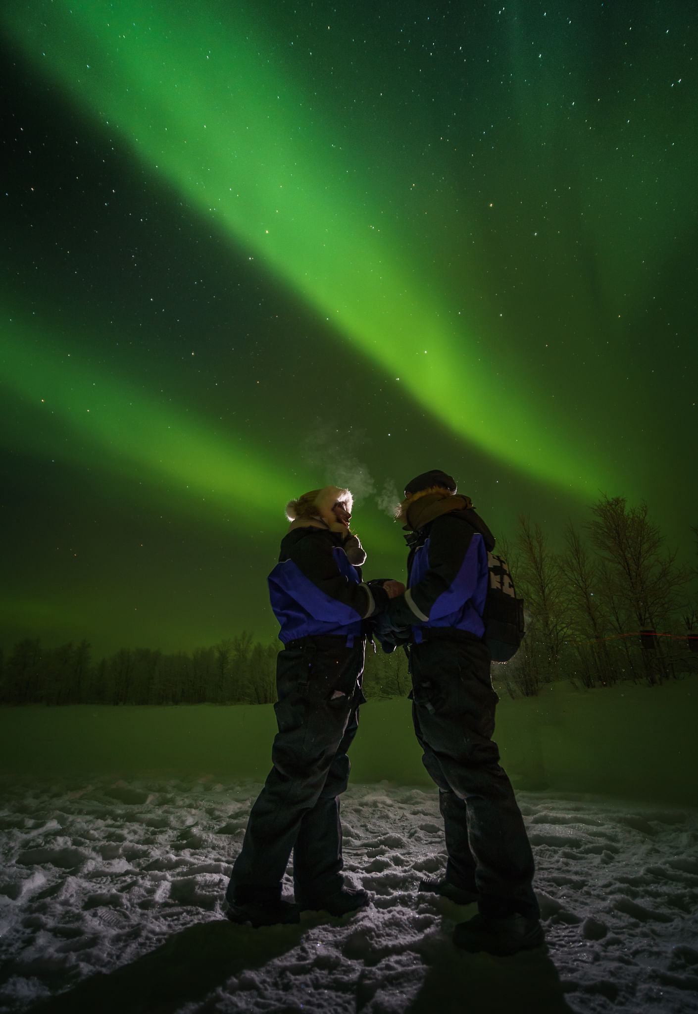 Nordlichter-tour ab Saariselkä mit Schneemobilfahrt, Abendessen & Rentieren mit Ivalo Safaris.