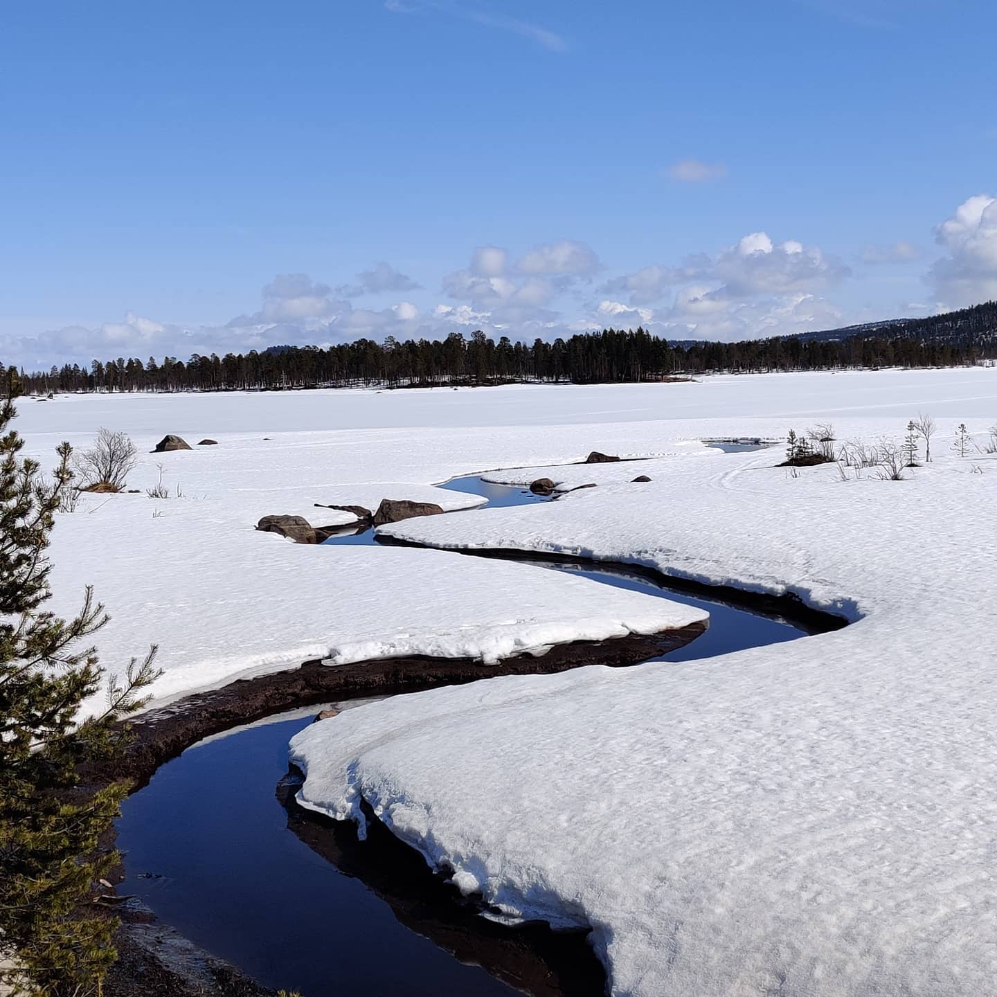Giro in motoslitta al lago Inari con pesca sul ghiaccio e giro in slitta con Northern Lights Riders Ivalo.