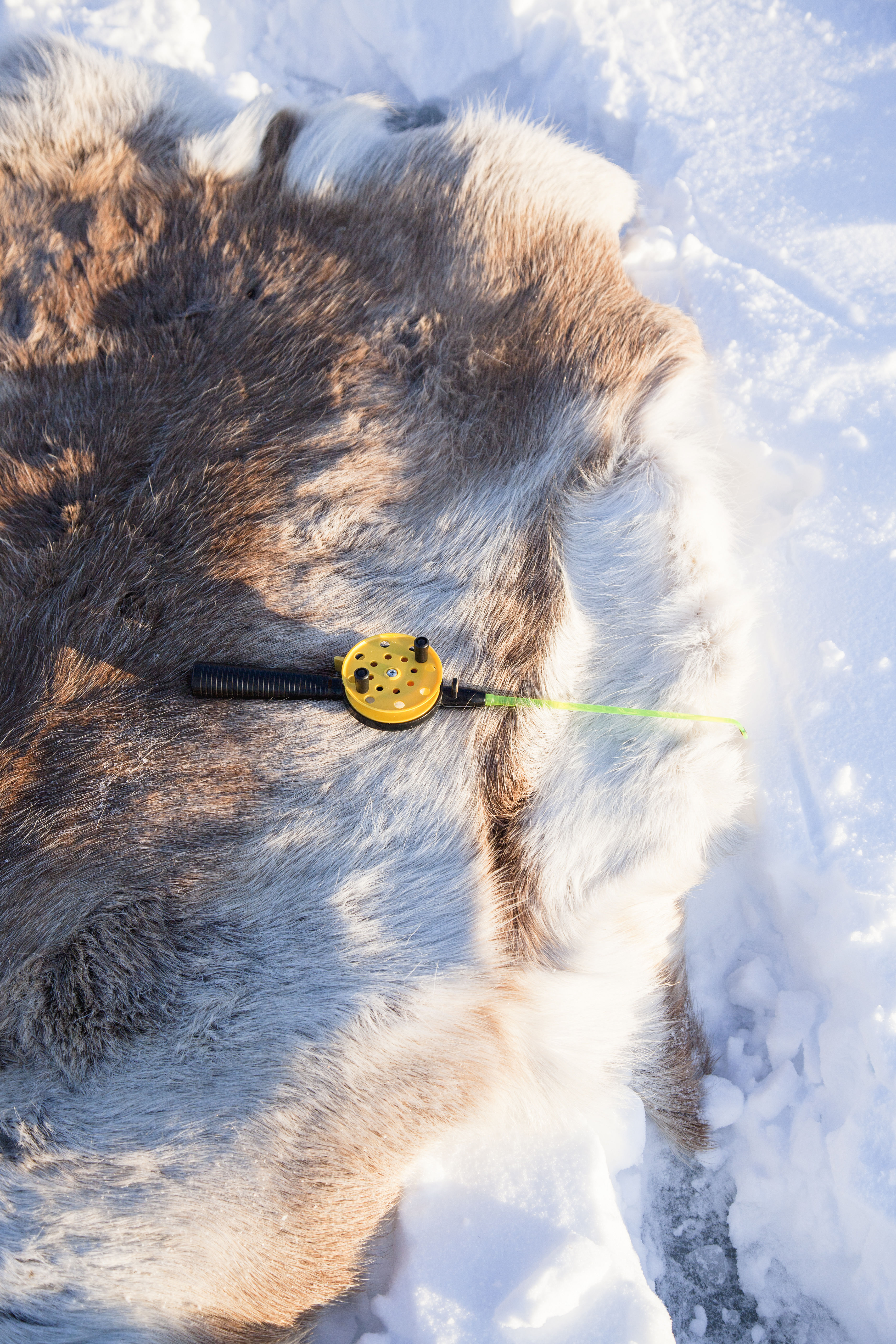 Bus Tour from Saariselka with Ice Fishing, Lunch & Reindeer Experience from Ivalo Safaris.