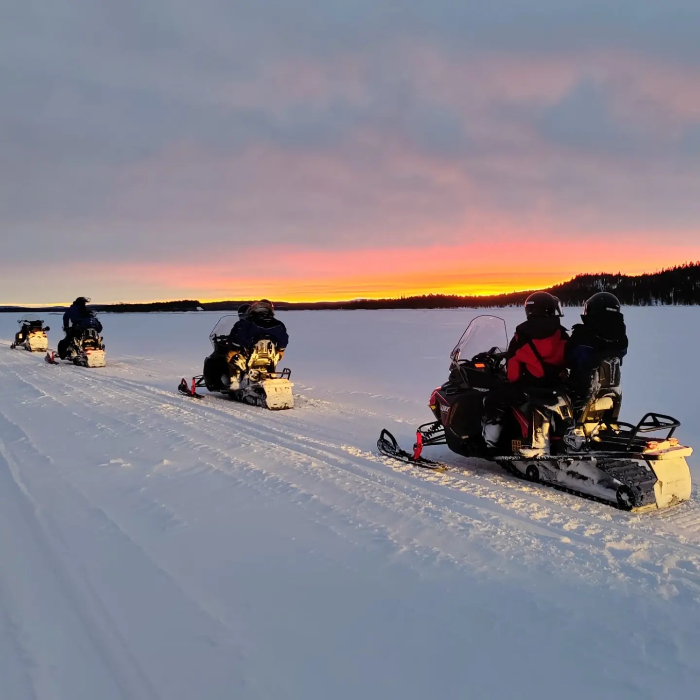 Snowmobile Tour along Ivalo River & Lake Inari with Reindeer Experience & Lunch from Ivalo Safaris.