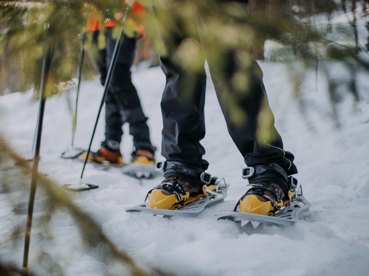 Randonnée en raquettes à Saariselkä avec Déjeuner traditionnel lapon et Sauna avec Xwander Nordic Ivalo.