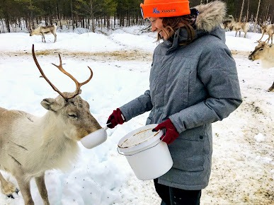 Sami Tour with Visit to a Reindeer Farm, Open-fire Lunch & Museum Visit from Xwander Nordic Ivalo.