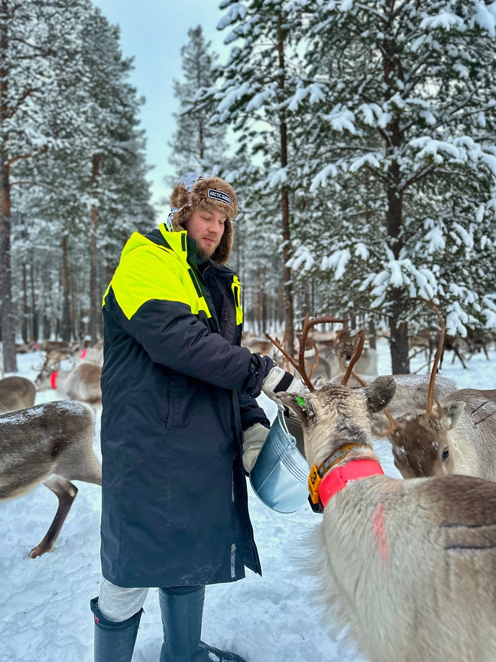 Reindeer Farm Visit with Snowmobile Sleigh & Snacks from Ivalo from Arctic Guides Ivalo.