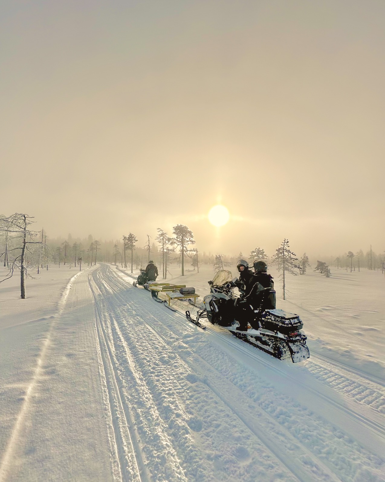 Snowmobile in Rovaniemi with Open Fire Lunch.