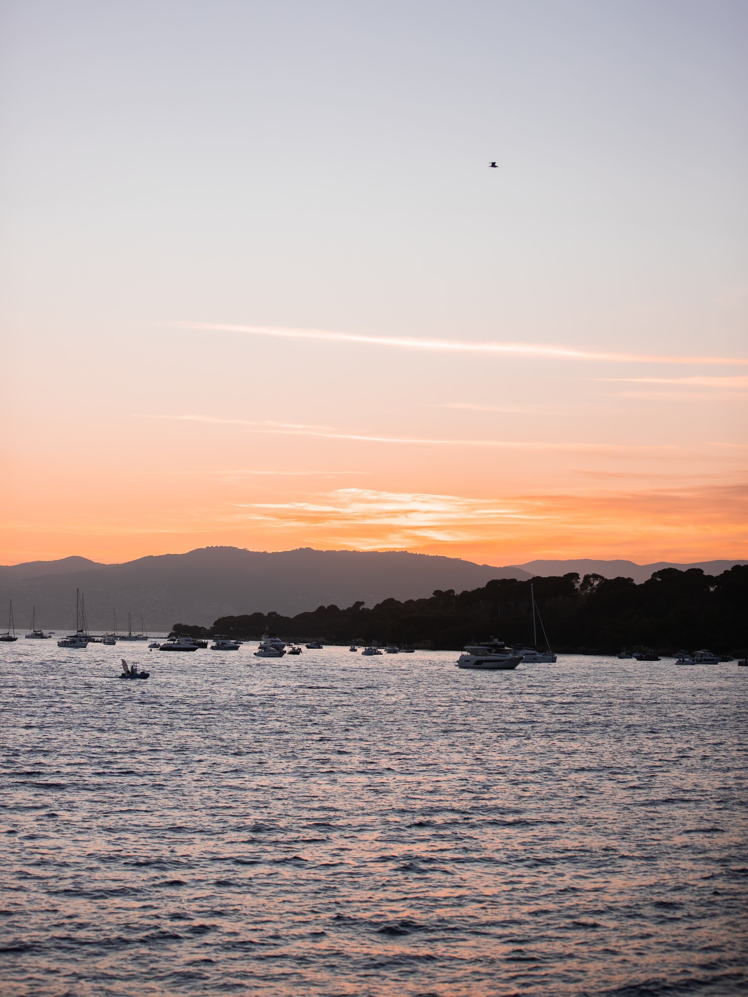 Evening Catamaran Trip to Anse de la Salis with Apéritif & Music.