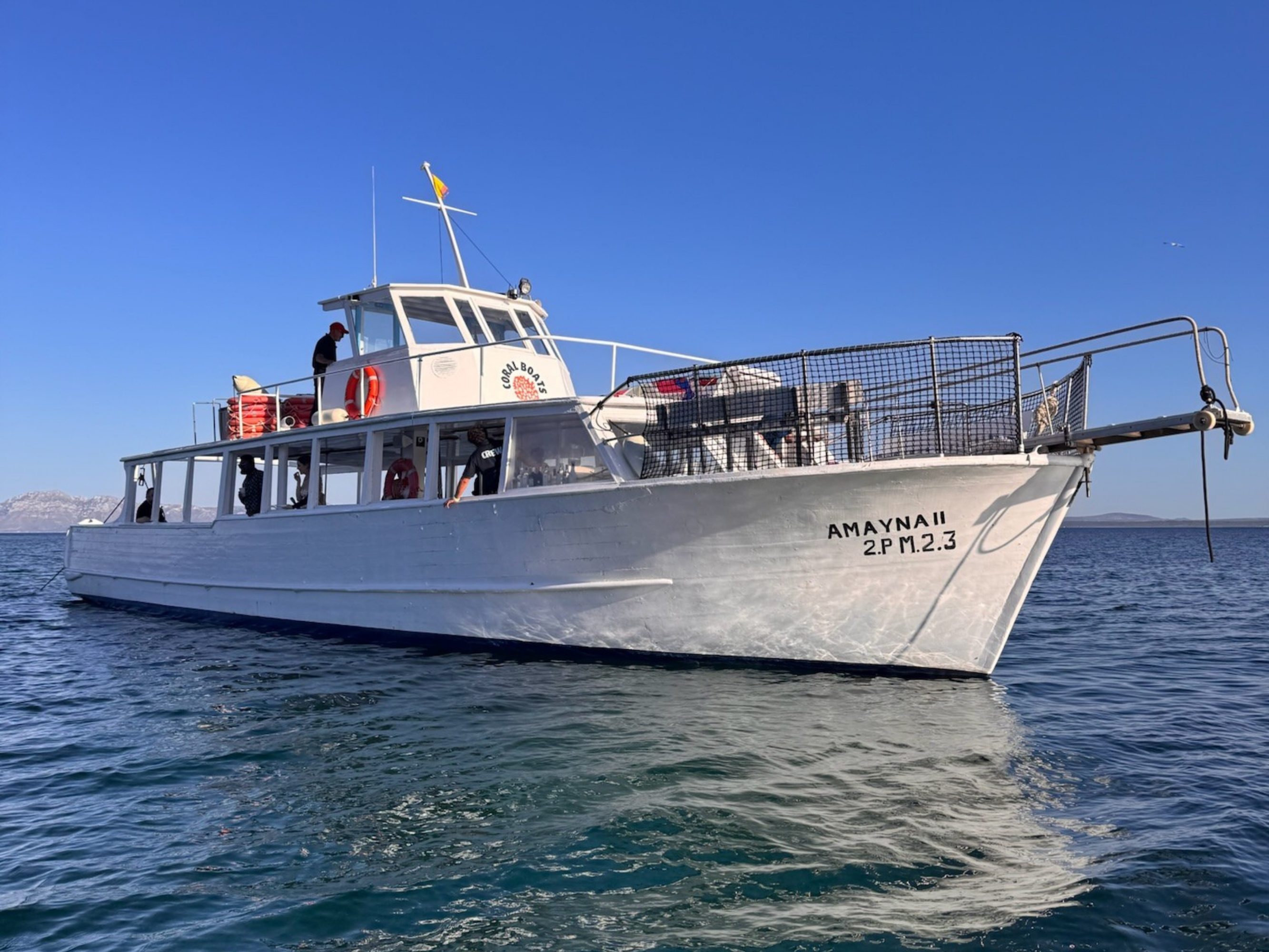 Bootstour in der Bucht von Alcúdia am Nachmittag mit Tapas, Schnorcheln und Schwimmen mit Coral Boats Mallorca.