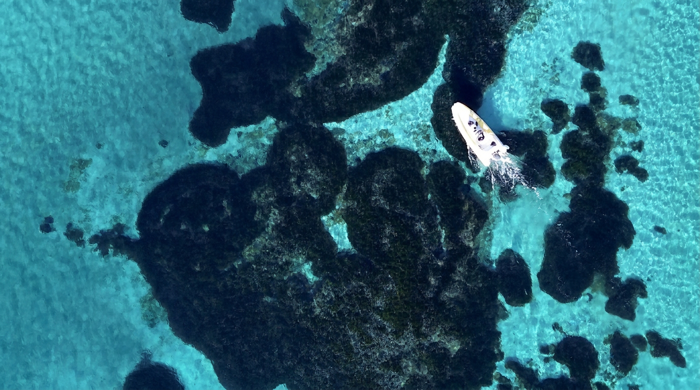 Barca a remi che naviga nelle acque cristalline del Parco Asinara Veduta aerea di un'imbarcazione bianca che naviga nelle acque cristalline color turchese durante un'escursione privata in gommone da Stintino al Parco dell'Asinara con Sottovento Escursioni Asinara.