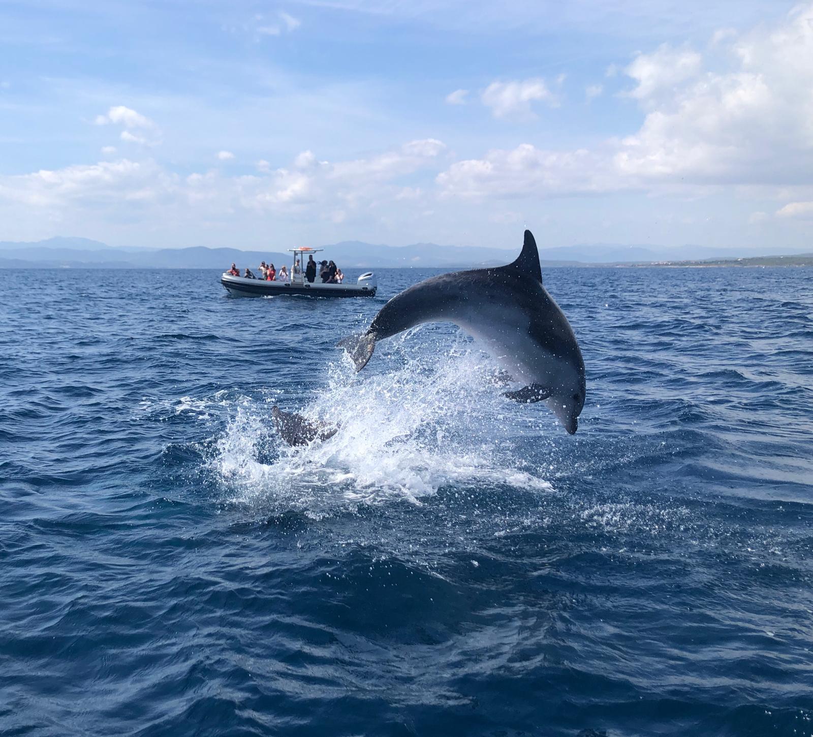 Gita in barca a Figarolo  e visita turistica con DST Sardegna Golfo Aranci.