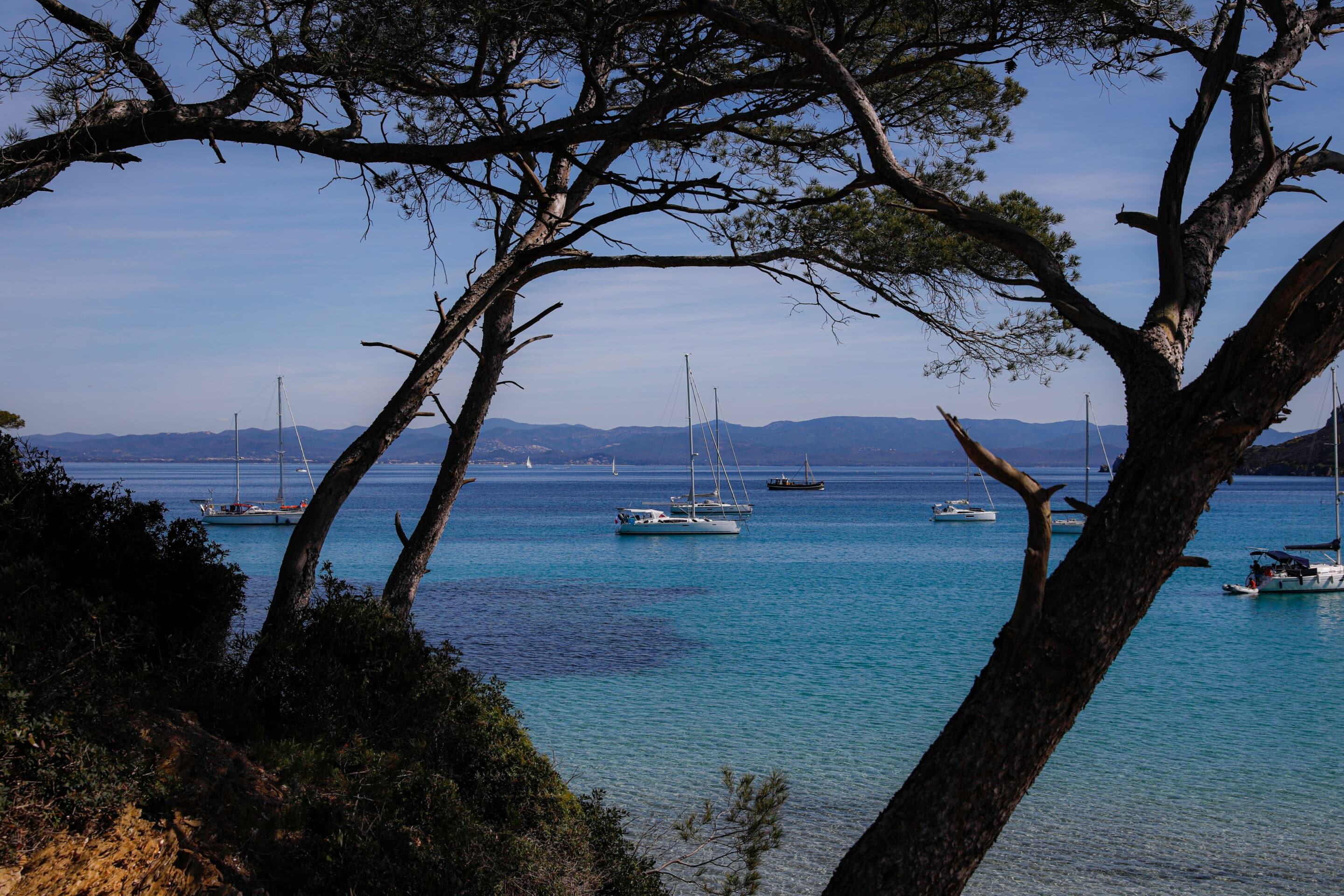 Navette aller-retour pour les îles de Porquerolles et Port-Cros.