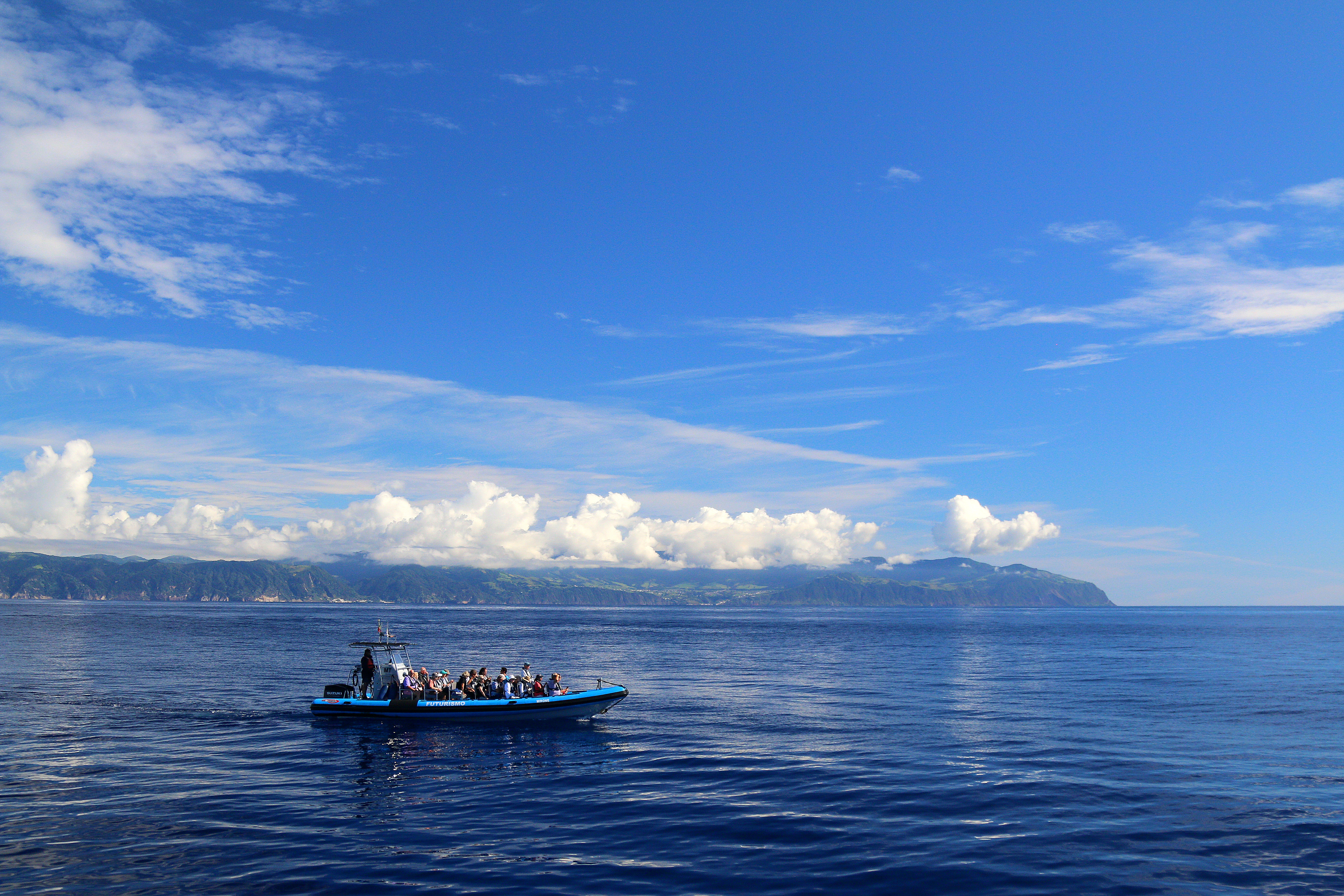 Half-Day RIB Boat Trip in Rabo de Peixe with Whale & Dolphin Watching.