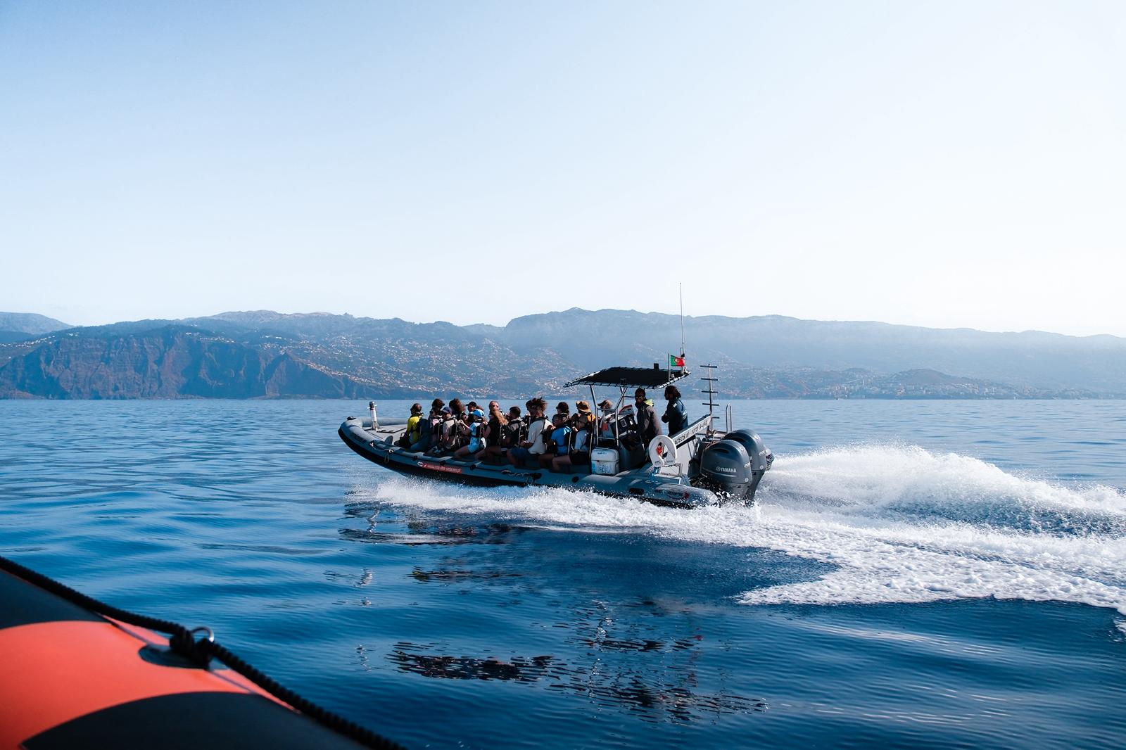 RIB-Bootstour ab Funchal entlang der Küste mit Wal- und Delfinbeobachtung.