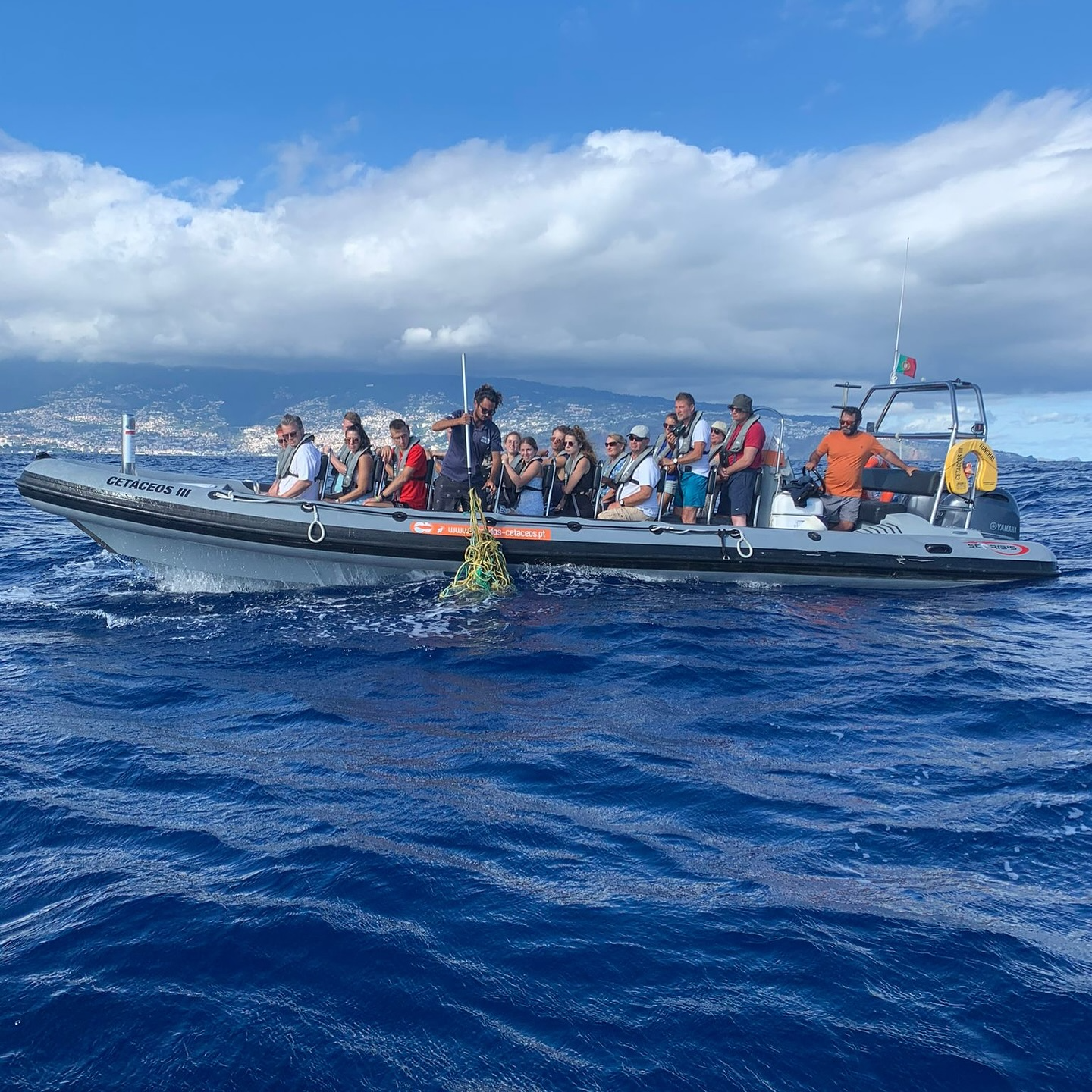 Paseo privado en lancha semirrígida desde Funchal por la costa con avistamiento de ballenas y delfines con Rota dos Cetáceos Madeira.