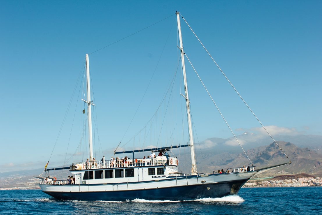 Bootstour in Los Cristianos mit respektvoller, tierfreundlicher Wal- und Delfinbeobachtung ohne Verfolgung.