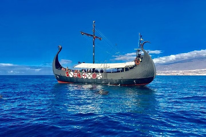 Balade en bateau viking depuis Los Cristianos avec Observation des dauphins.