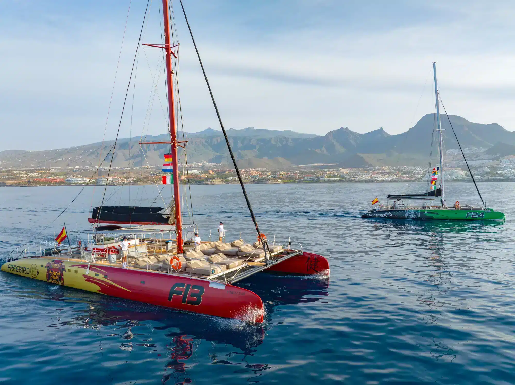 Catamarantocht met walvis- en dolfijnspotten in Costa Adeje met Freebird Catamarans Tenerife.