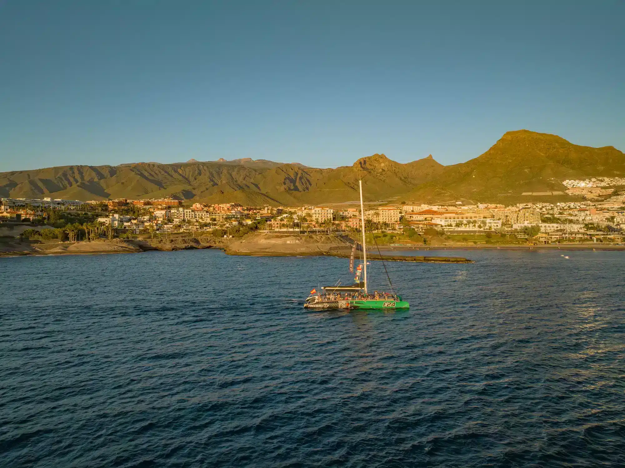 Catamarantocht met walvis- en dolfijnspotten in Costa Adeje met Freebird Catamarans Tenerife.