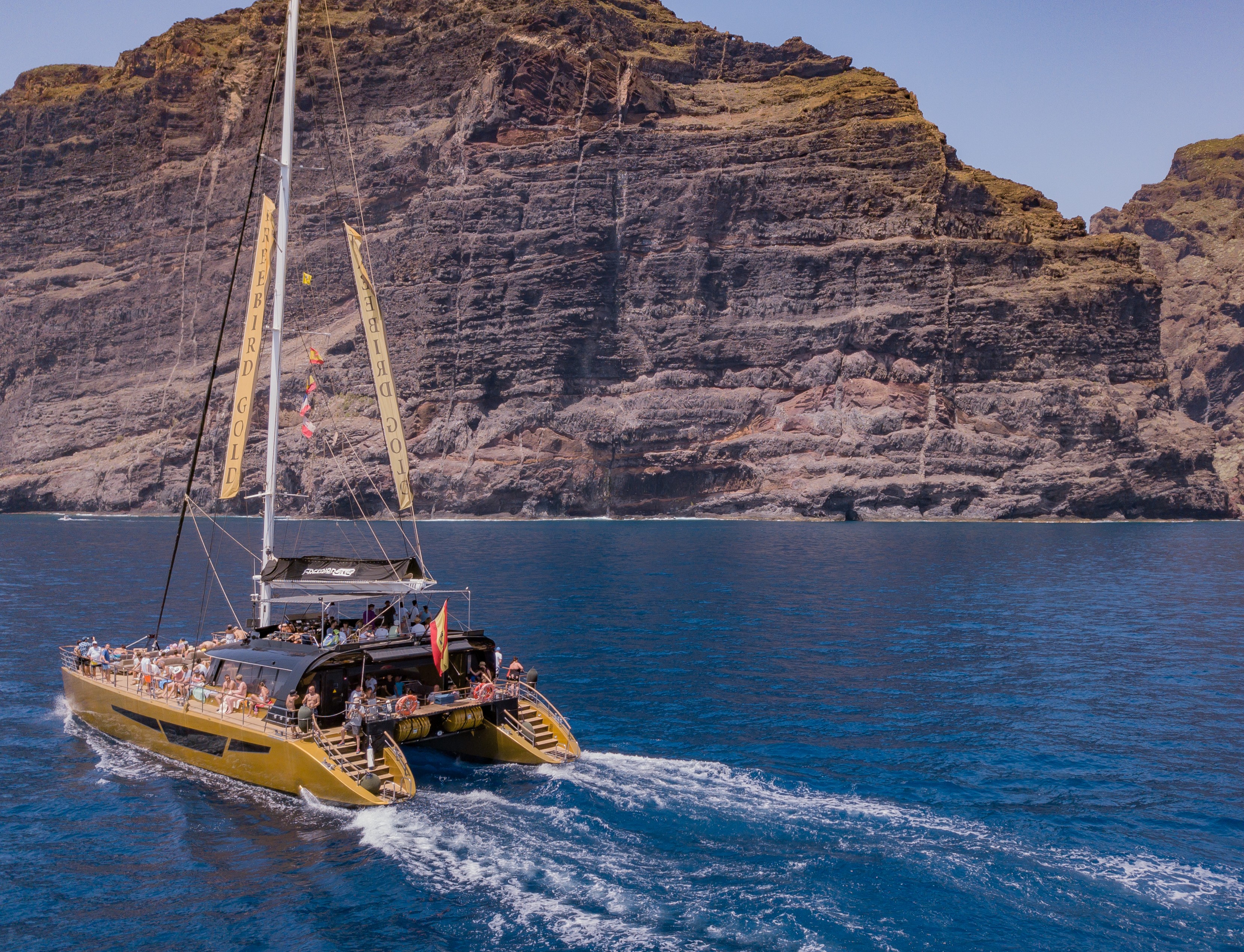 Balade en catamaran avec Observation des cétacés à Costa Adeje avec Freebird Catamarans Tenerife.