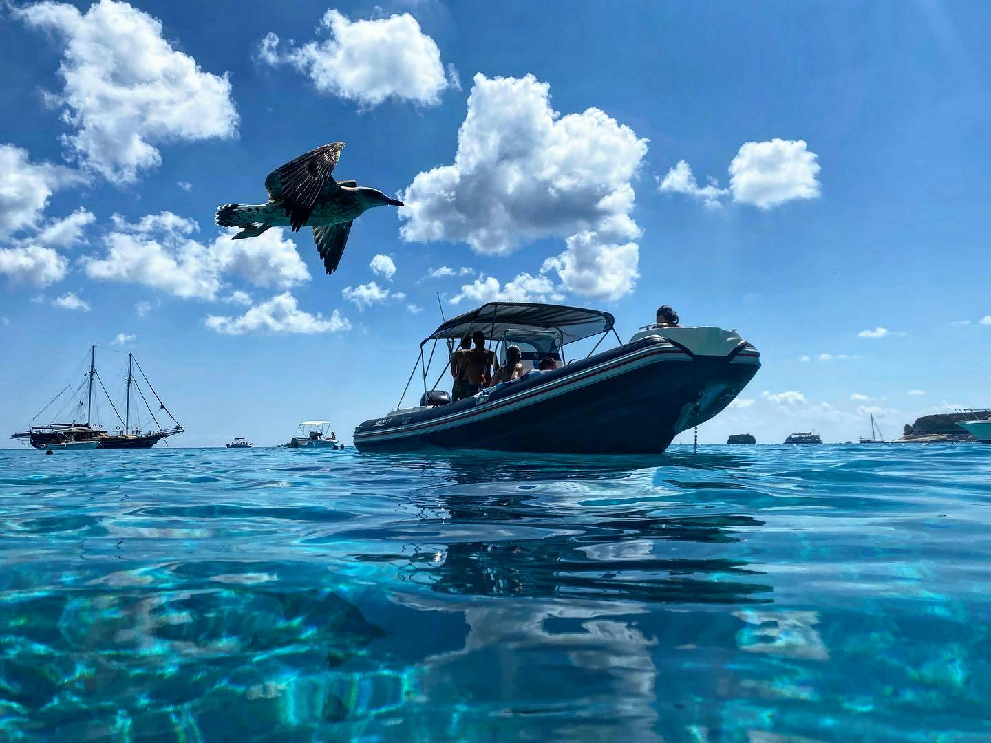 Bootstour - Linosa  & Schwimmen mit OltreMare Lampedusa e Linosa Sea Experience.