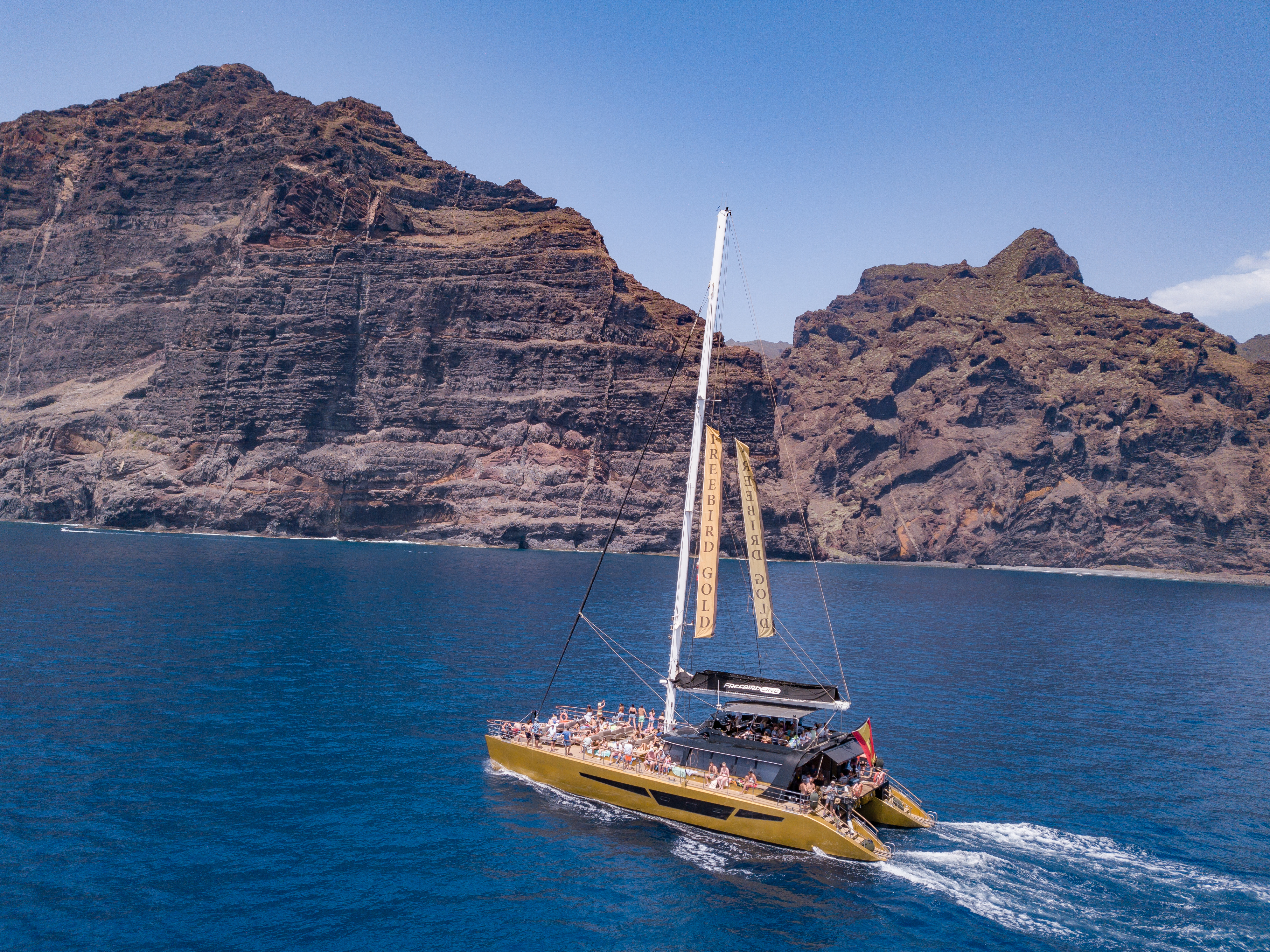 Catamarantocht met walvisspotten naar Masca en Los Gigantes met lunch met Freebird Catamarans Tenerife.