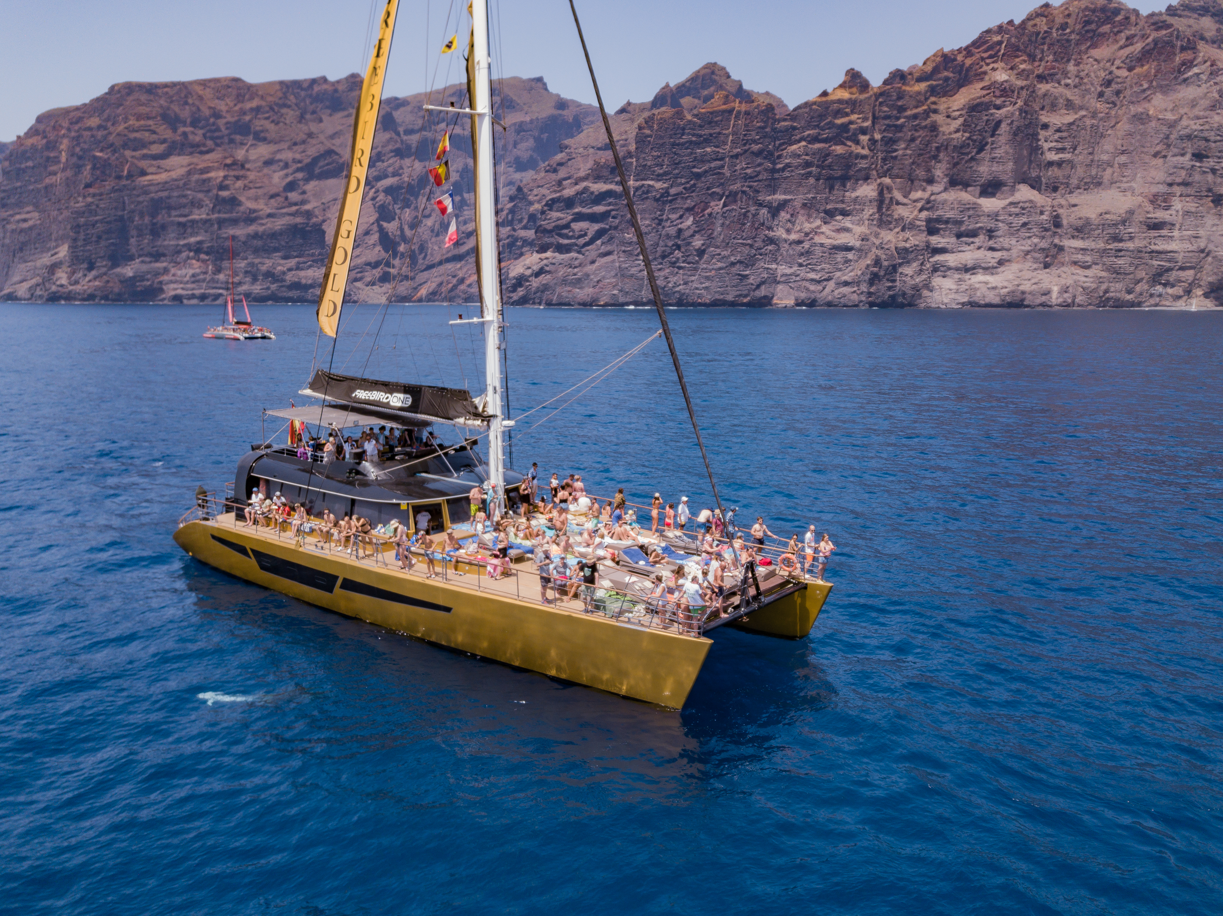 Boottocht met catamaran en walvisspotten naar Masca inclusief lunch en pick-up service vanuit het noorden met Freebird Catamarans Tenerife.