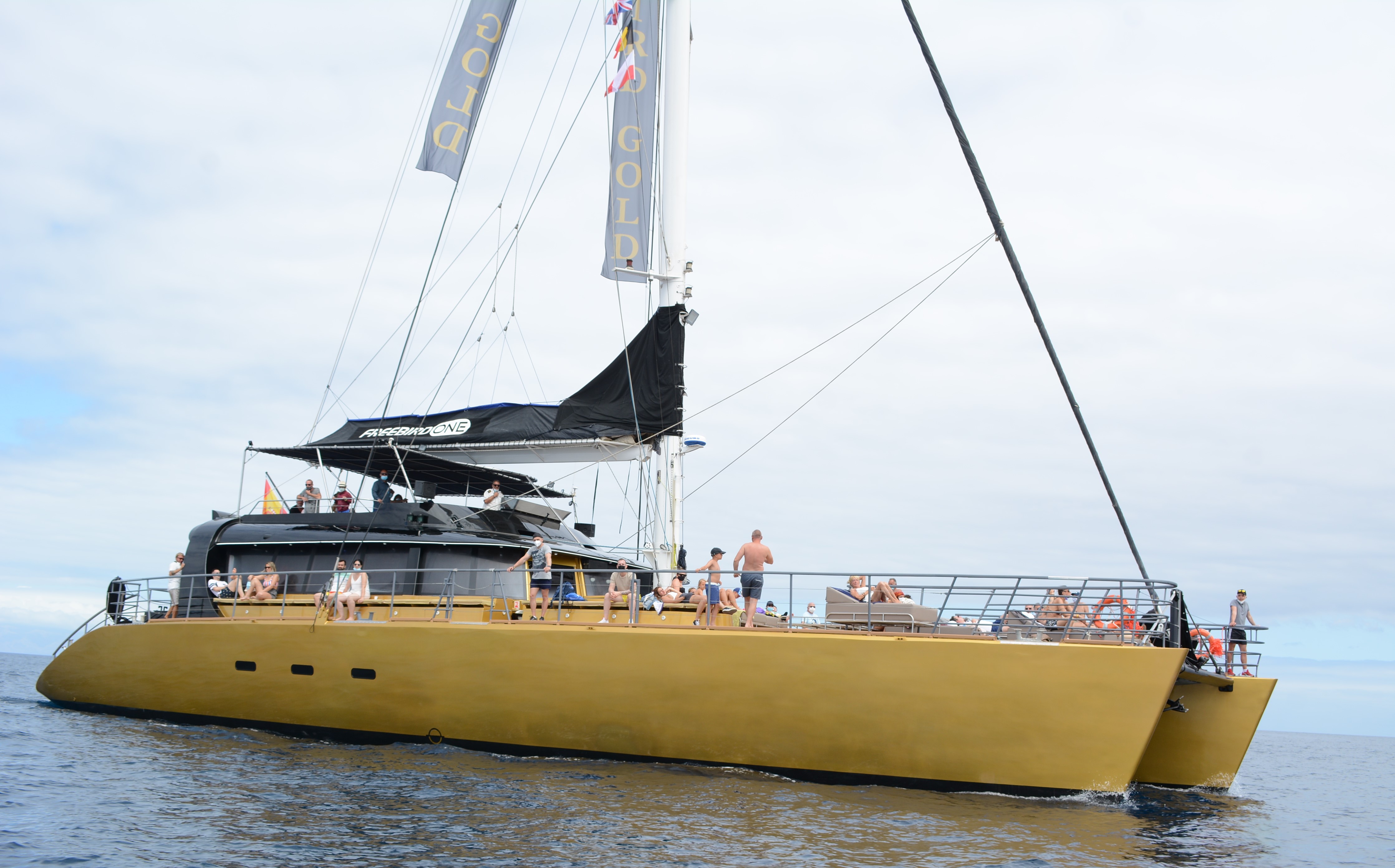 Boottocht met catamaran en walvisspotten naar Masca inclusief lunch en pick-up service vanuit het noorden.