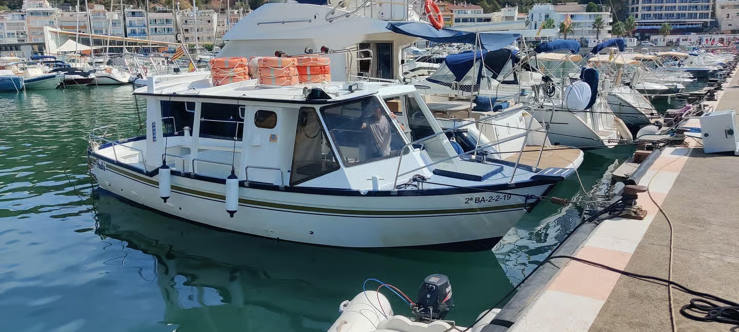 Boat Trip from L'Estartit to Les Illes Medes & the Caves with Wildlife Watching.