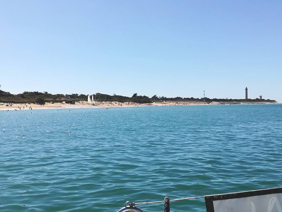 Katamaran-Tour ab Saint-Martin-de-Ré zum Fier d'Ars mit Schwimmen.