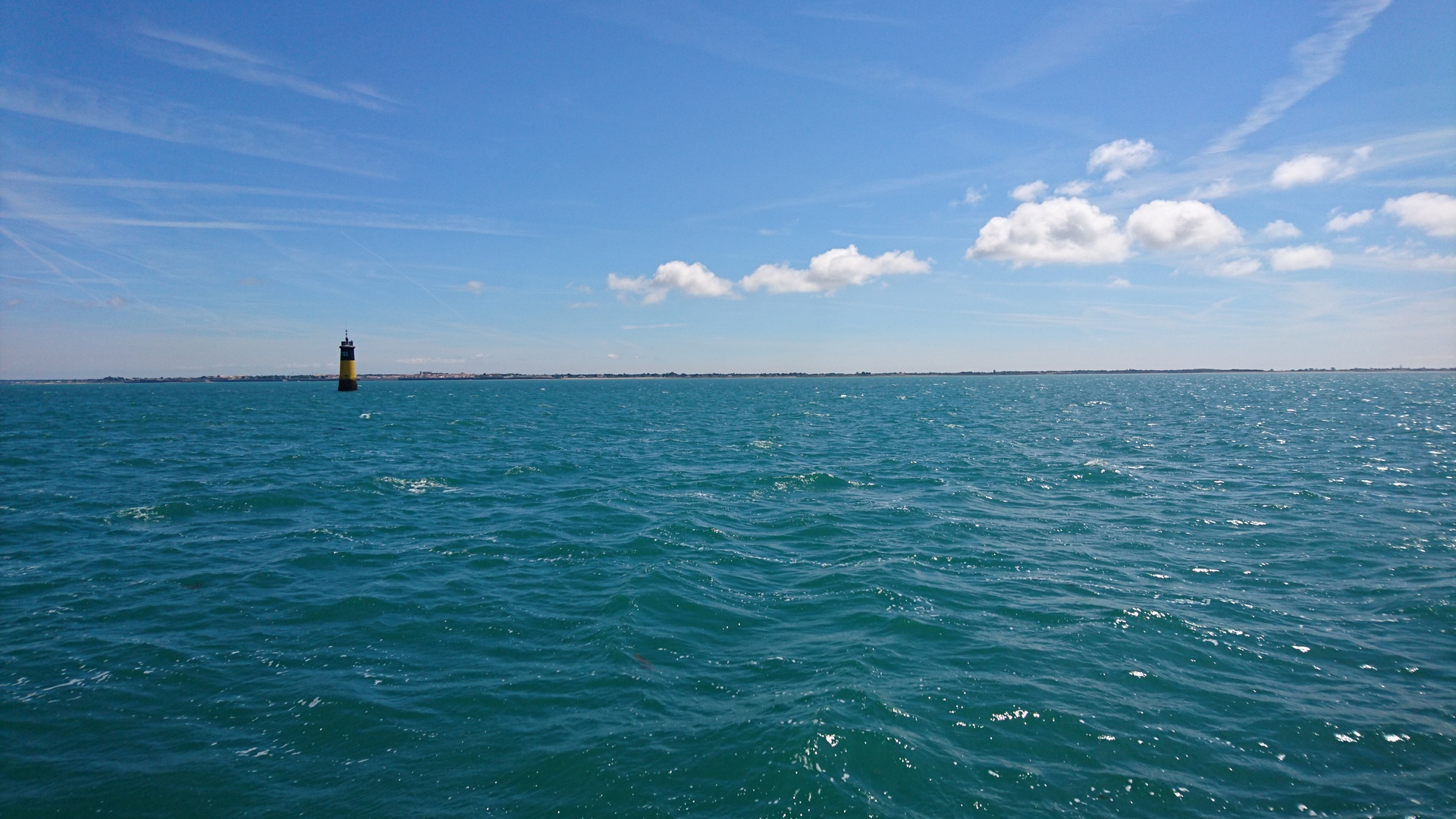 Katamaran-Tour ab Saint-Martin-de-Ré zum Wal-Leuchtturm mit Schwimmen.