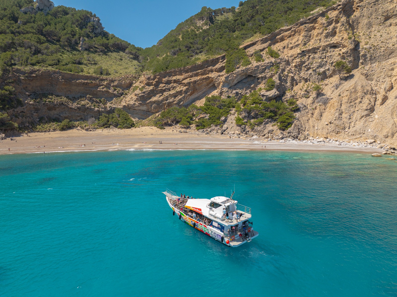 Boat Trip Adventure from Alcudia with Dolphin Watching from Alcúdia Sea Trips.