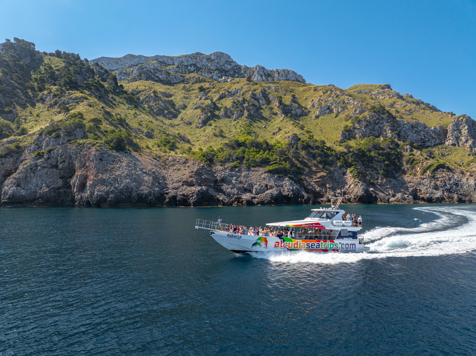 Boat Trip Adventure from Alcudia with Dolphin Watching.