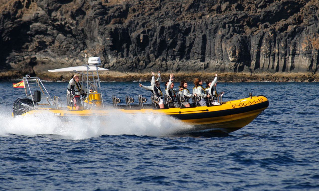 Speedboat Trip from Lanzarote with Dolphin Watching & Swimming from Waverider Lanzarote.