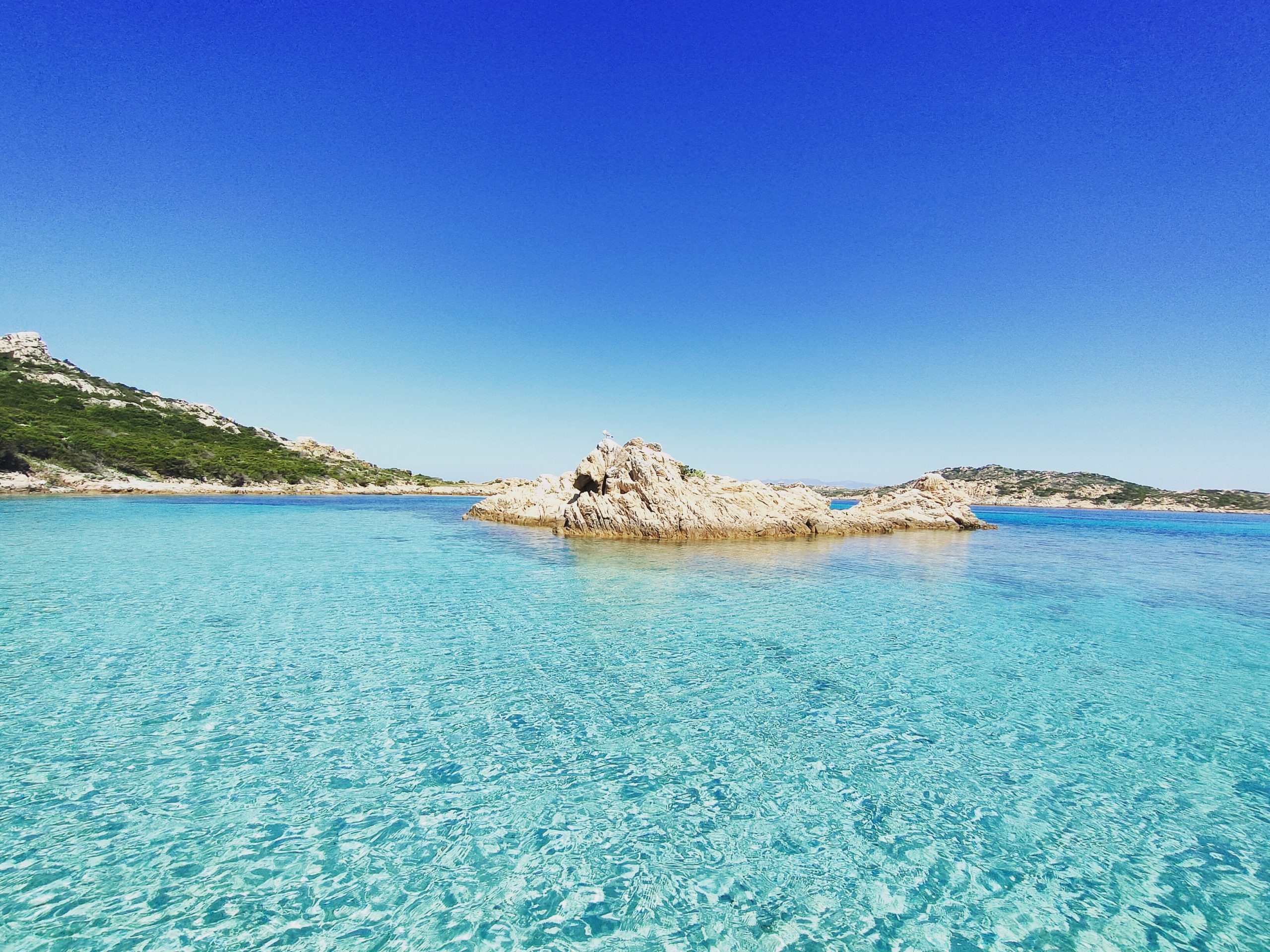 Balade privée en bateau - Île Piana.