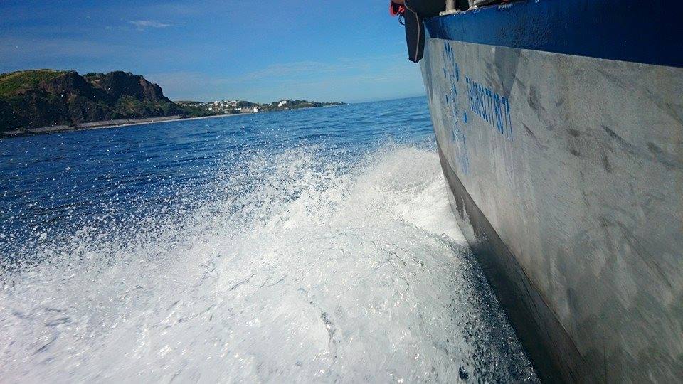 Boat Trip in La Réunion from Le Port with Whale Watching from Le Dodo Palmé Réunion.