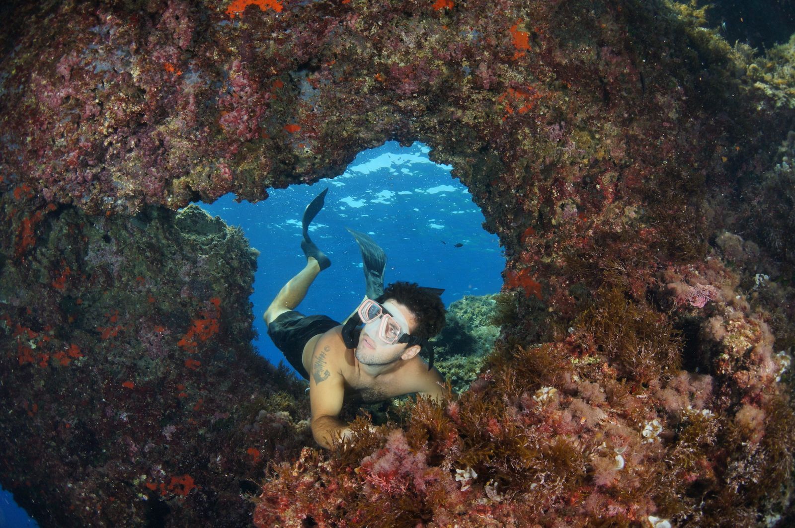 Hele dag boottocht in Argentario met snorkel en lunch met Argentario Divers.