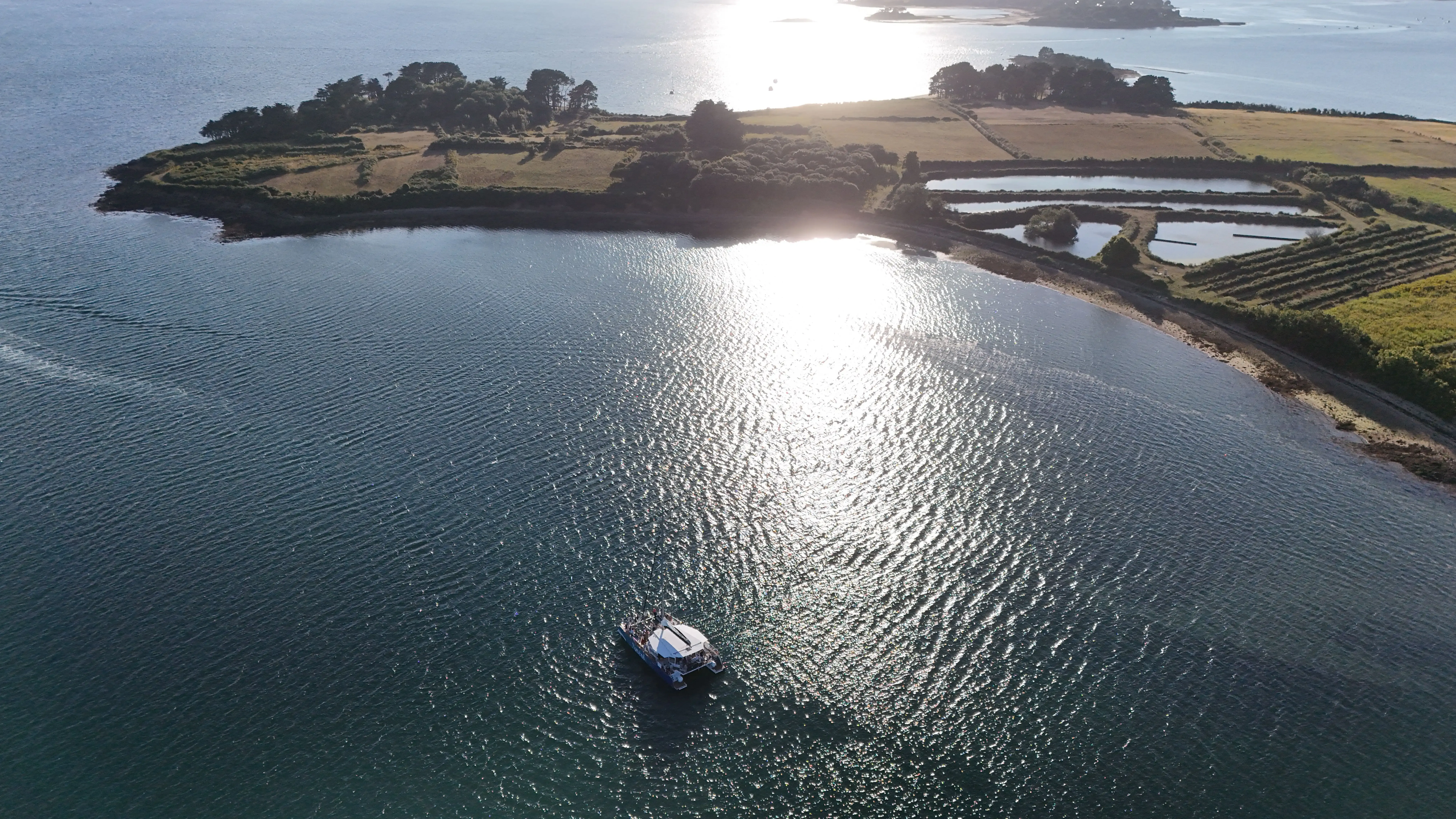 Morning Catamaran Trip in the Golf of Morbihan.