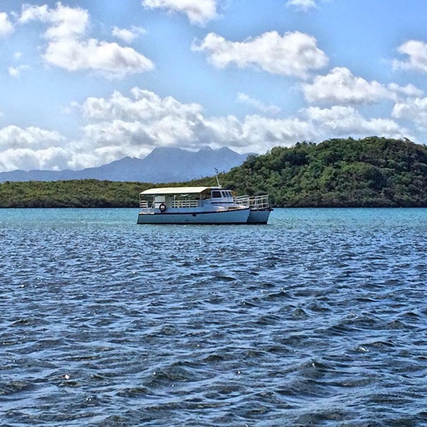 Boat Trip to Cocotte Mangrove & Petit Îlet from Les Trois-Îlets with Snacks.