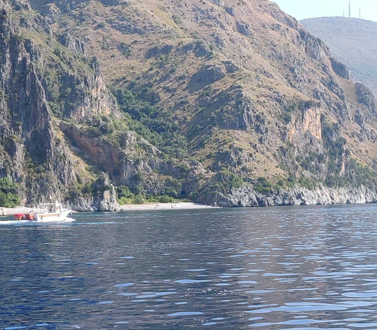 Privé boottocht van Scario naar Kust van Cilentana met Trasporto Passeggeri Il Delfino Scario.